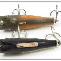 Creek Chub Golden Shiner & Silver Shiner Midget Darter Pair