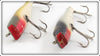 Creek Chub Golden Shiner & Silver Shiner Midget Darter Pair