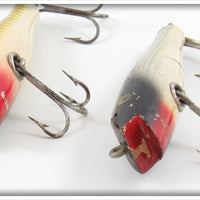 Creek Chub Golden Shiner & Silver Shiner Midget Darter Pair
