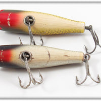 Creek Chub Golden Shiner & Silver Shiner Midget Darter Pair