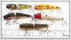 Creek Chub Jointed Darter Lot Of Five