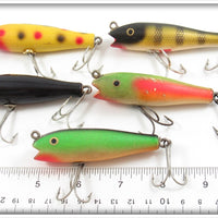 Creek Chub Midget Darter Lot Of Five