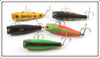 Creek Chub Midget Darter Lot Of Five
