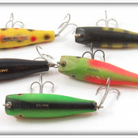 Creek Chub Midget Darter Lot Of Five