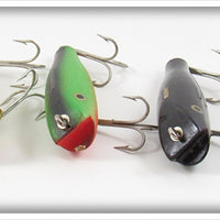 Creek Chub Midget Darter Lot Of Five