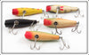 Creek Chub Midget Darter Lot Of Five