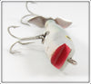 Creek Chub Shad Midget Darter 8009 Special