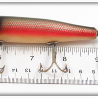 Creek Chub Dace Spinnered Darter 2005S Special