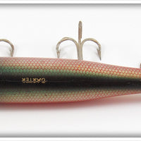 Creek Chub Dace Spinnered Darter 2005S Special