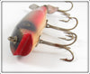 Creek Chub Dace Spinnered Darter 2005S Special