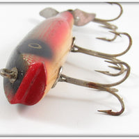 Creek Chub Dace Spinnered Darter 2005S Special