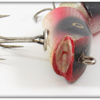 Creek Chub Dace Jointed Darter 4905 Special