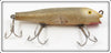 Creek Chub Mullet Large Musky Tarpon Darter