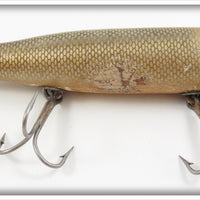 Creek Chub Mullet Large Musky Tarpon Darter