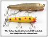 Creek Chub Mullet Large Musky Tarpon Darter
