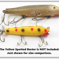 Creek Chub Mullet Large Musky Tarpon Darter