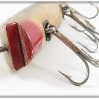Creek Chub Mullet Large Musky Tarpon Darter