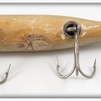 Creek Chub Mullet Large Musky Tarpon Darter