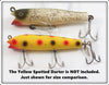 Creek Chub Silver Flash Musky Tarpon Darter