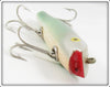 Creek Chub Shad Darter 2009