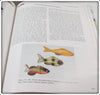 Commercial Fish Decoys Identification And Value Guide