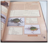 The Pflueger Heritage Lures & Reels 1881 - 1952