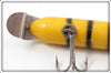 Creek Chub Tiger Stripe Kingfish Pikie KF-139