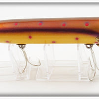 Killer Baits Spotted Musky Vamp In Box