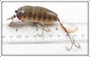 Creek Chub Pikie Scale Midget Beetle 6601 Special