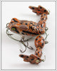 NFLCC 2014 Club Lure Pond Hopper Frog In Box