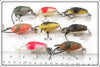 Creek Chub Cray Z Fish Lot Of Eight
