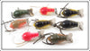 Creek Chub Cray Z Fish Lot Of Eight