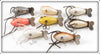 Creek Chub Cray Z Fish Lot Of Eight