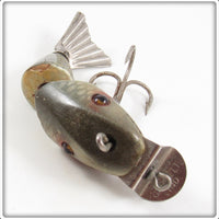Creek Chub Silver Shiner Baby Wigglefish 2503