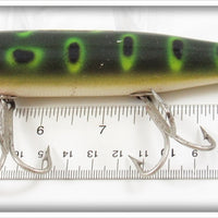 Creek Chub Frog Spot Husky Pikie 2319