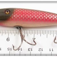 Shur Strike Early Redside Baby Pikie With Anteater Lip
