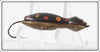 Barr Royer's Black With Spots Fly Rod Mud Puppy Salamander