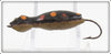 Barr Royer's Black With Spots Fly Rod Mud Puppy Salamander