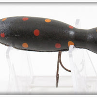 Barr Royer's Black With Spots Mud Puppy Salamander