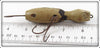 Barr Royer's Black With Spots Mud Puppy Salamander