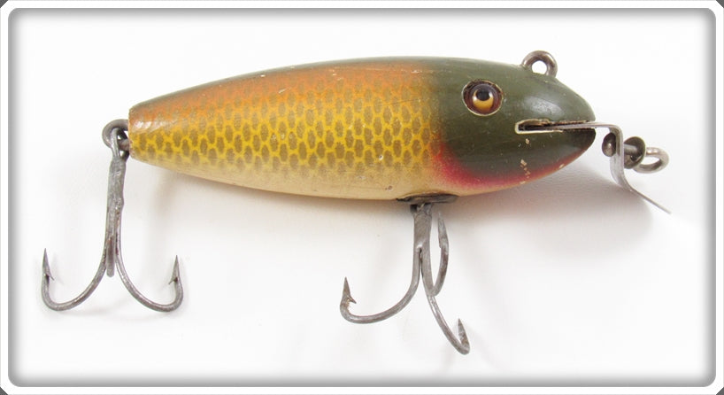 Vintage Creek Chub Golden Shiner Baby Wiggler Lure 204