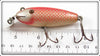 Creek Chub Goldfish Baby Wiggler 206
