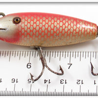 Creek Chub Goldfish Baby Wiggler 206
