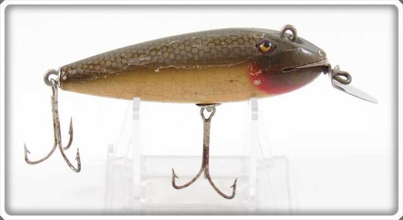 Vintage Creek Chub Greenback Early Wiggler Lure 109
