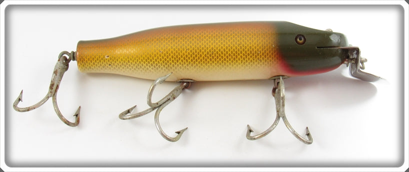 Vintage Creek Chub Golden Shiner Striper Pikie Lure 6904