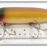 Creek Chub Golden Shiner Striper Pikie 6904