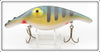 Legend Lures Bluegill 6 1/2" Sunny