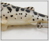 Buckeye Bait Corp White Coach Dog Trout Size Bug N Bass