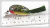 Creek Chub Frog Spot Dingbat In Box 5119