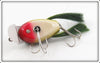 Creek Chub Frog Spot Dingbat In Box 5119